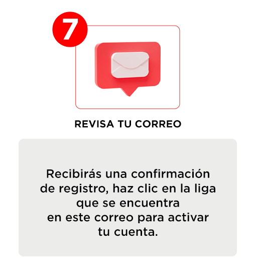 Contenido